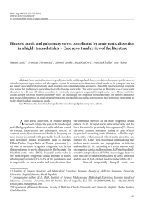 Bicuspid aortic and pulmonary valves complicated by acute aortic