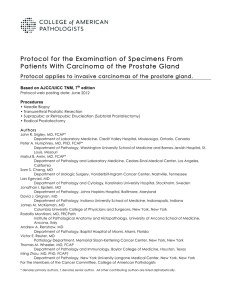 Protocol for the Examination of Specimens From Patients With