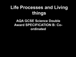 Life Processes and Living things