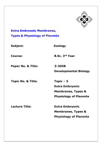 Extra Embryonic Membranes E