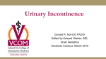 Mixed Urinary Incontinence