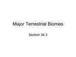 Major Terrestrial Biomes