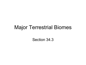 Major Terrestrial Biomes