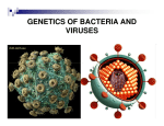 GENETICS OF BACTERIA AND VIRUSES