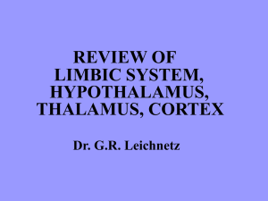 REVIEW OF LIMBIC SYSTEM, HYPOTHALAMUS, THALAMUS