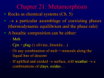 Chapter 21: Metamorphism