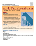 aortic_thromboembolism