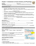 Chapter 1: Introduction to Human Anatomy and Physiology