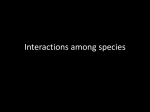 Interactions among species