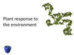 Responses are controlled by plant growth substances (hormones)