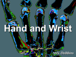 Hand and Wrist