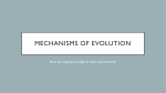 Mechanisms of Evolution Notes