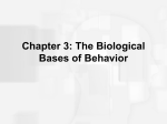 The Biological Bases of Behavior