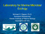 A Decade of Marine Microbial Ecology