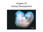 Ch. 47 Animal Development 9e(1).