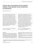 Critical sites of entrapment of the posterior division of the obturator