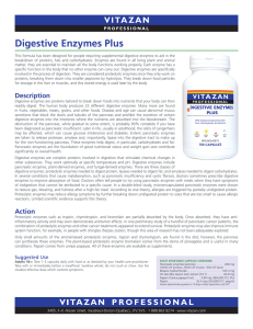 Digestive Enzymes Plus