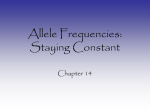 Allele Frequencies: Staying Constant