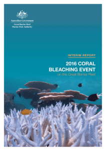 Interim report on 2016 coral bleaching event in GBRMP