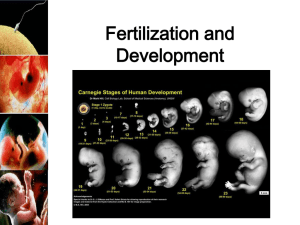 Fertilization and Development