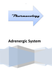 Adrenergic System Adrenoceptor Blocking Drugs