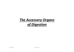 The Accessory Organs of Digestion