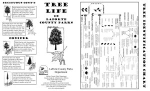life tree brochure - LaPorte County Parks