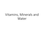 U5P2 Vitamins, minerals and water