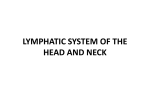 LYMPH NODES AND LYMPH VESSELS OF THE HEAD AND NECK