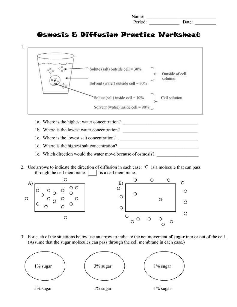 Diffusion, Osmosis, and Active Transport With Diffusion And Osmosis Worksheet