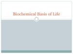 Biochemical Basis of Life FD
