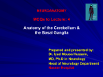 MCQ to basal ganglia and cerebellum