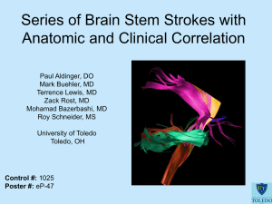 Series of Brain Stem Strokes with Anatomic and