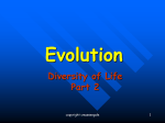 6.4_EVOLUTION_DIVERSITY OF LIFE NOTES_3_Part 2