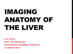 Imaging Anatomy of the Liver