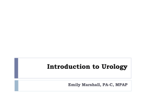 Urology Nursing Presentation Emily Marsall