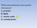 Which macromolecule stores genetic information? A. proteins B