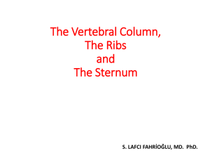 The vertebral column and joints-2015_4