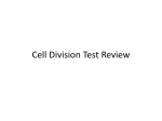 Cell Assessment REVIEW 2016