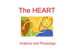 The HEART - Cumberland Gap Health Science