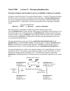 Chem*3560 Lecture 9: Glycogen phosphorylase