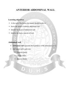ANTERIOR ABDOMINAL WALL