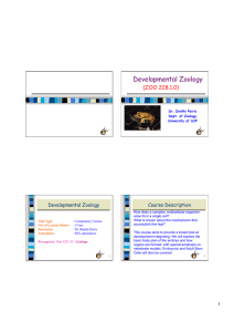 Dev Biol L1