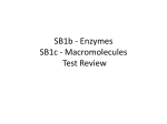 SB1bc Test Review