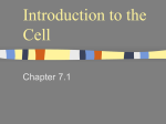 Introduction to the Cell