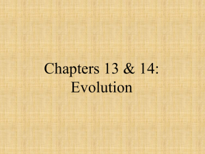 Chapters 13/14 Power Point