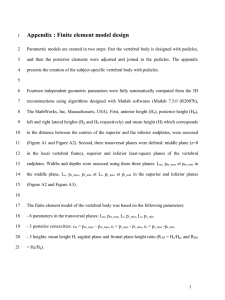 Appendix : Finite element model design