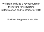 Will stem cells be a key resource for research in IBD in the future in