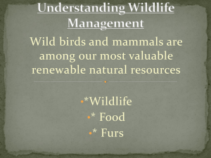 Wildlife Science