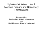 High Alcohol Fermentations: How to Manage Primary and